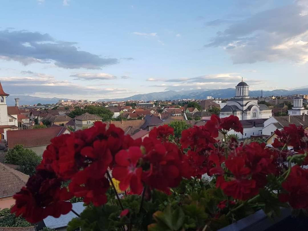 Appartamento Sibiu Bach Penthouse Esterno foto